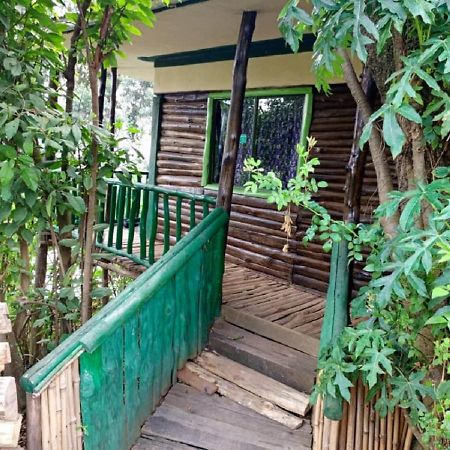 Ruhija Community Rest Camp Bed & Breakfast Kabale Dış mekan fotoğraf