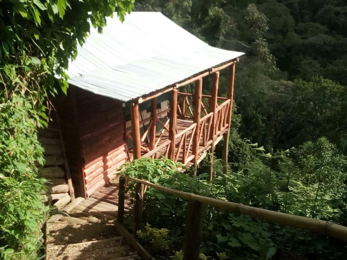 Ruhija Community Rest Camp Bed & Breakfast Kabale Dış mekan fotoğraf